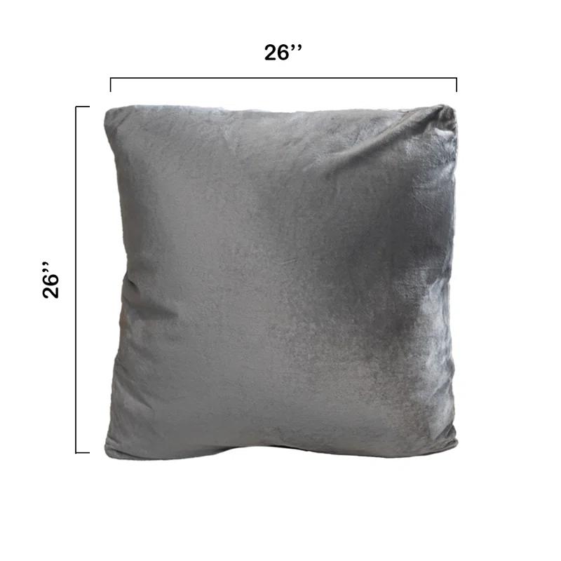 Throw Pillow (Set of 2)