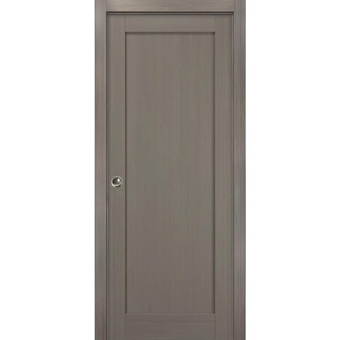 SARTODOORS Quadro Paneled Sliding Closet Door