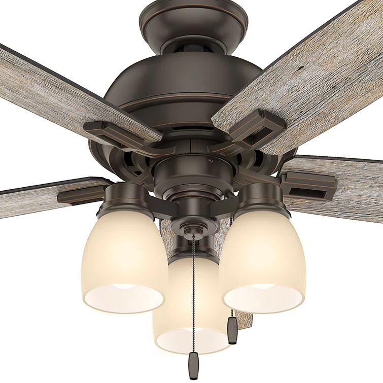Hunter Fan 52" Donegan 5 - Blade Standard Ceiling Fan with Pull Chain and Light Kit Included
