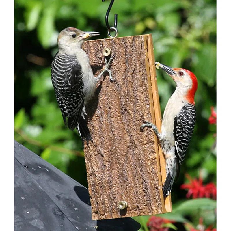 Birds Choice Spreadable Suet Feeder for Woodpeckers