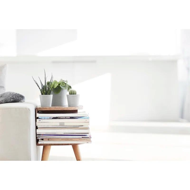 Ecopots Ecopots Indoor/Outdoor Modern Round Recycled Plastic Planter Flower Pot