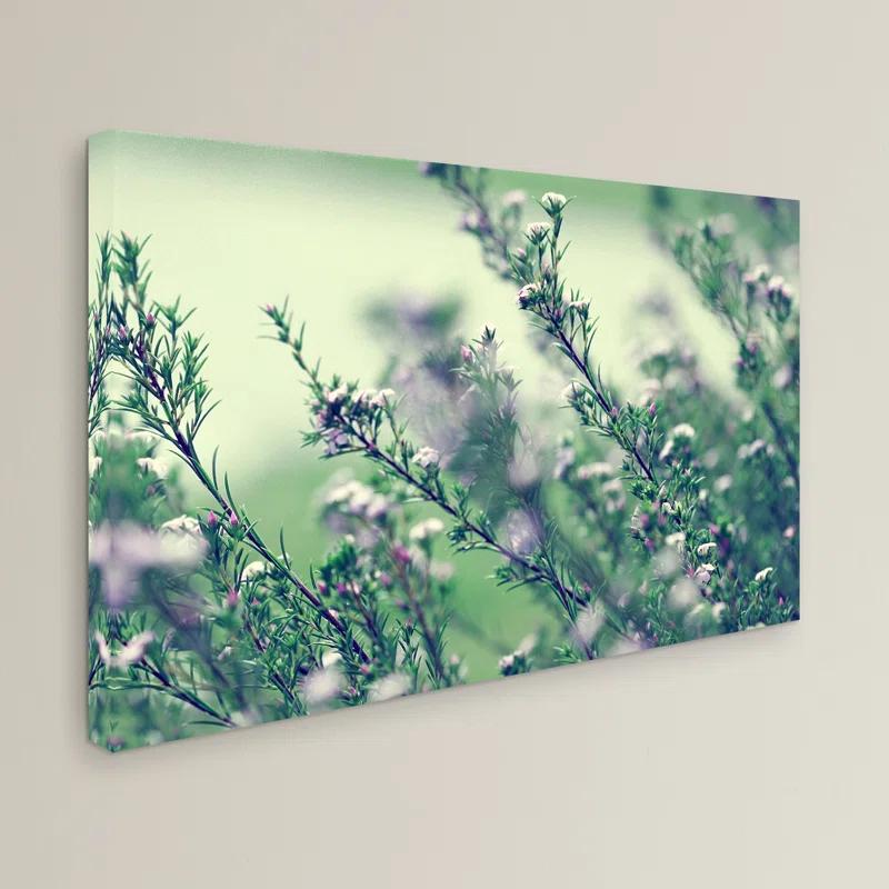 Trademark Fine Art " Memories Of Summer " by Beata Czyzowska Young