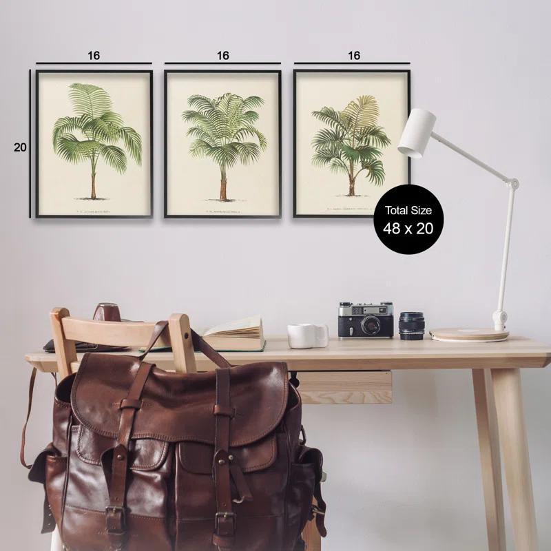 Stupell Industries Les Palmiers Botanical Trio 3 Piece Giclee Art Set by World Art Group