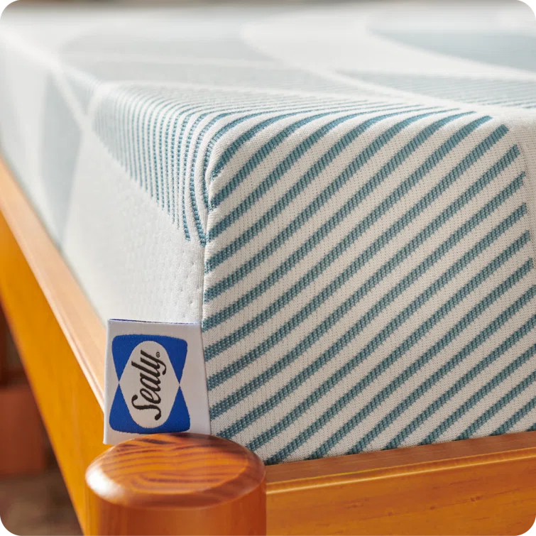 Sealy Dreamlife 8” Medium-Firm Foam Mattress-in-a-Box