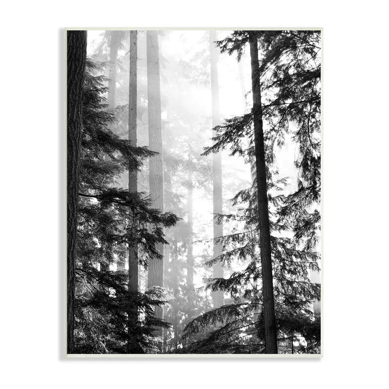Stupell Industries " Forest Light Shining Through Tall Trees Landscape " by Gail Peck