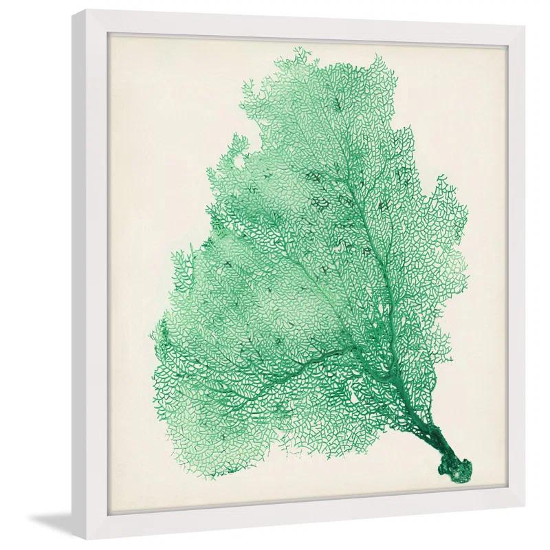 Marmont Hill "Sea Fan VII" Framed Print