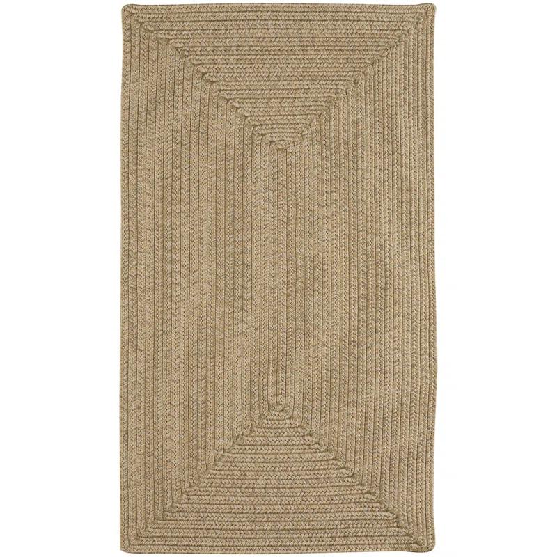 Highland Dunes Coronado Braided Tan Area Rug