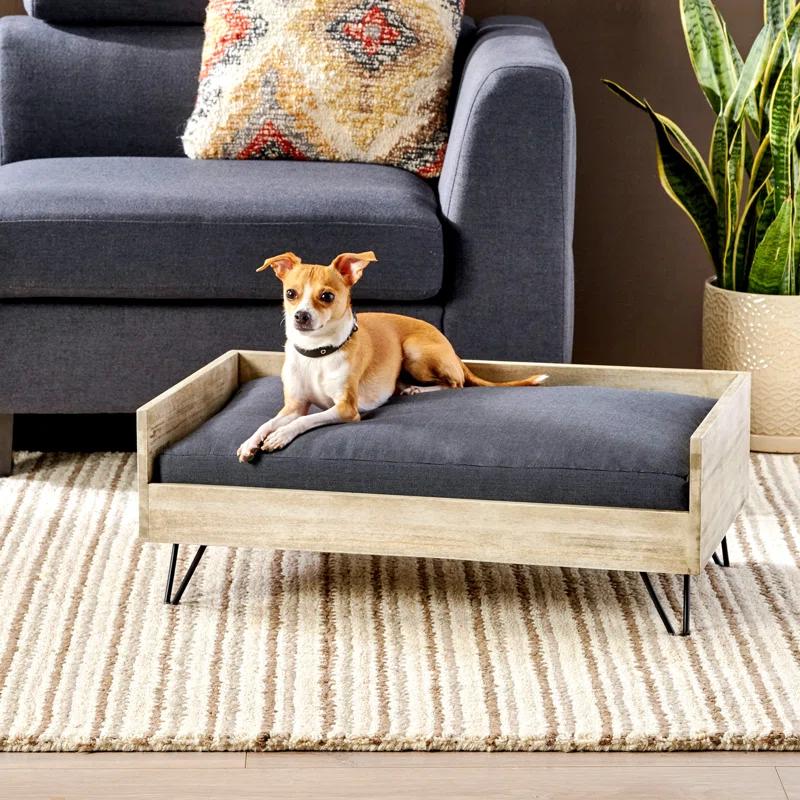 Tucker Murphy Pet™ Kaylor Mid Century Modern Dog Sofa