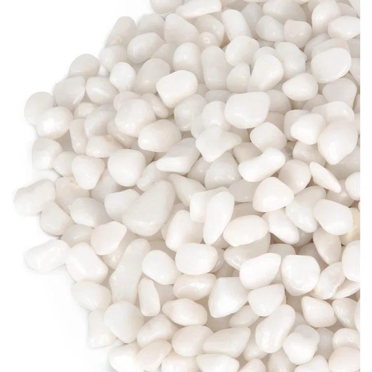 GASPRO 5lb Small White Decorative Rocks for Plants, Vases, Succulent, 3/8" Pebbles, High Polished