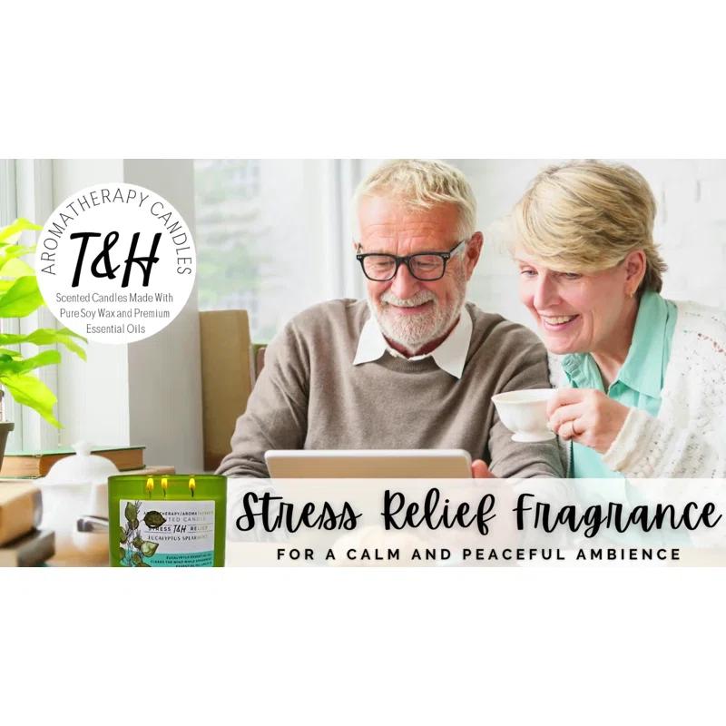 T&H Wholesalers Eucalyptus Spearmint Scented Soy Candle 3 Wick Aromatherapy Candle for Women and Men