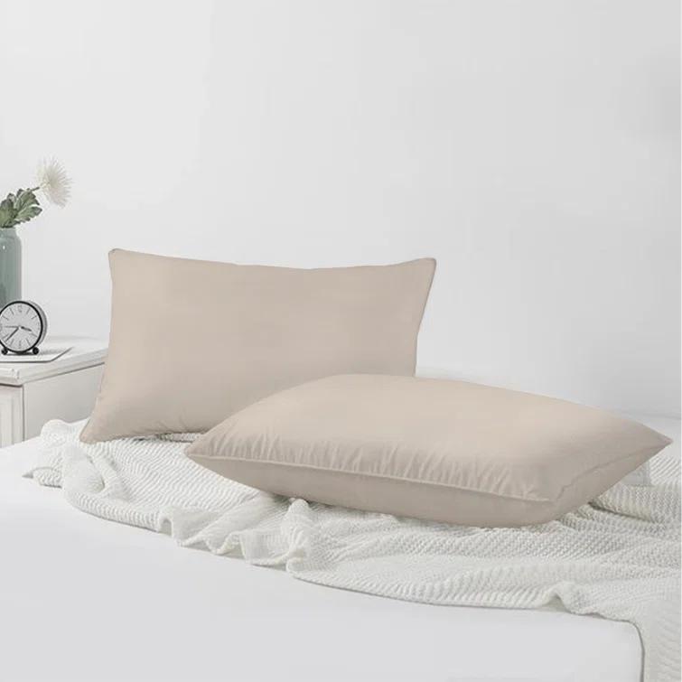 A1 Home Collections LLC Velvet Pillow Cover (Set of 2)