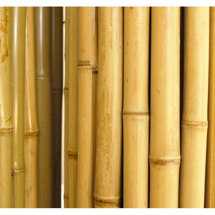 Backyard X-Scapes Natural Bamboo Fencing Decorative Privacy Screen No Dig Fence Panel