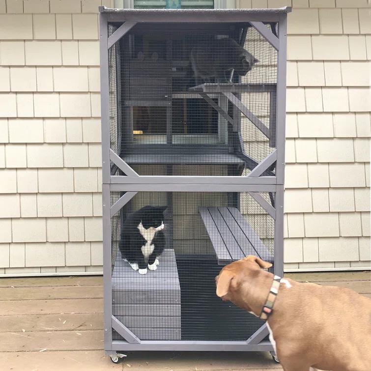 Aivituvin Portable Cat Playpen