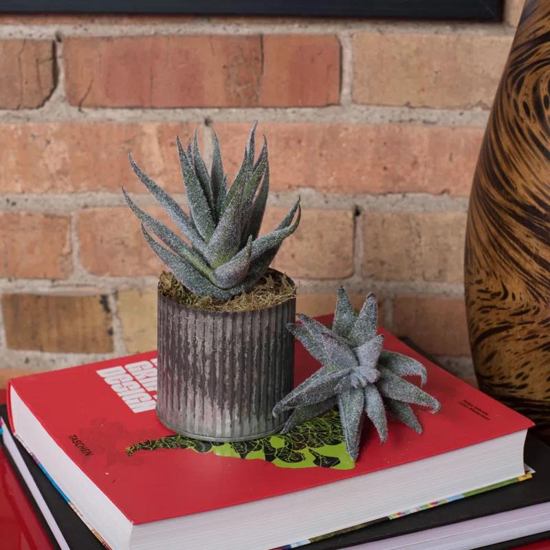 Primrue 6.5'' Faux Aloe Plant (Set of 3)