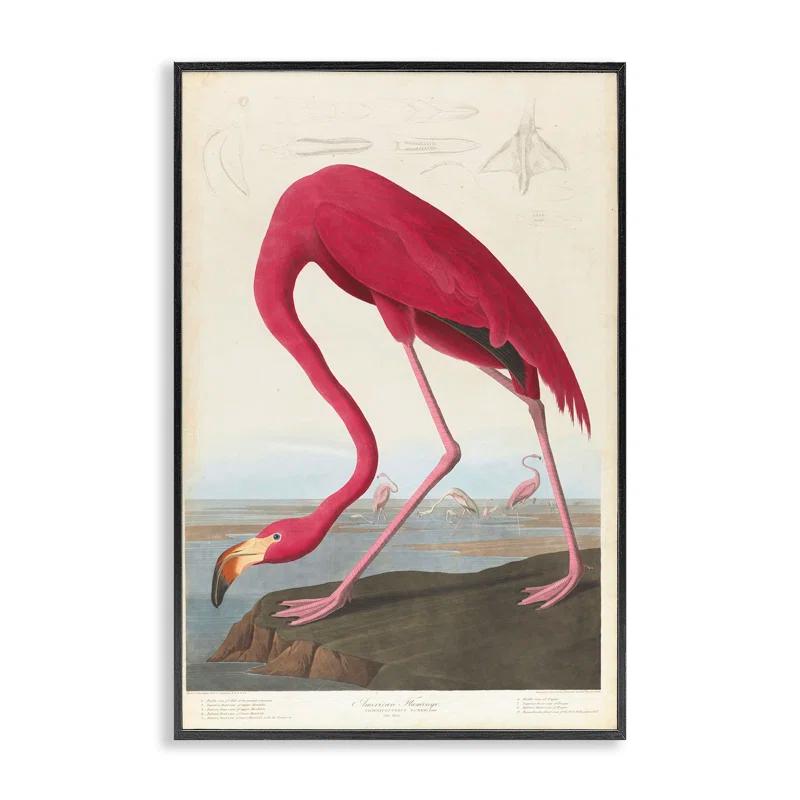 Stupell Industries Classic American Flamingo Framed Giclee Art by one1000paintings