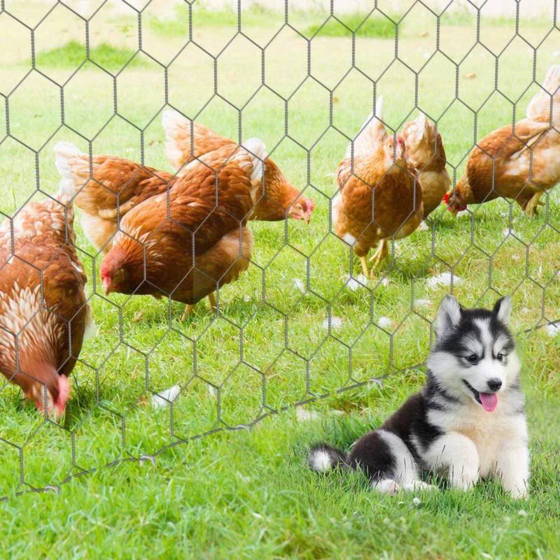 Amagabeli 200 Pack 6 Inch Galvanized Staple 11 Gauge Garden Stakes Sod Pins Anti-Rust for Weed Barrier Cover