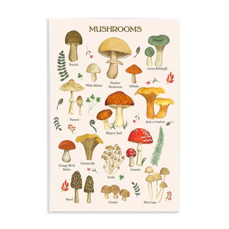 Stupell Industries Ax-141-Wood " Foraging Mushrooms Studies " by Sharon Lee
