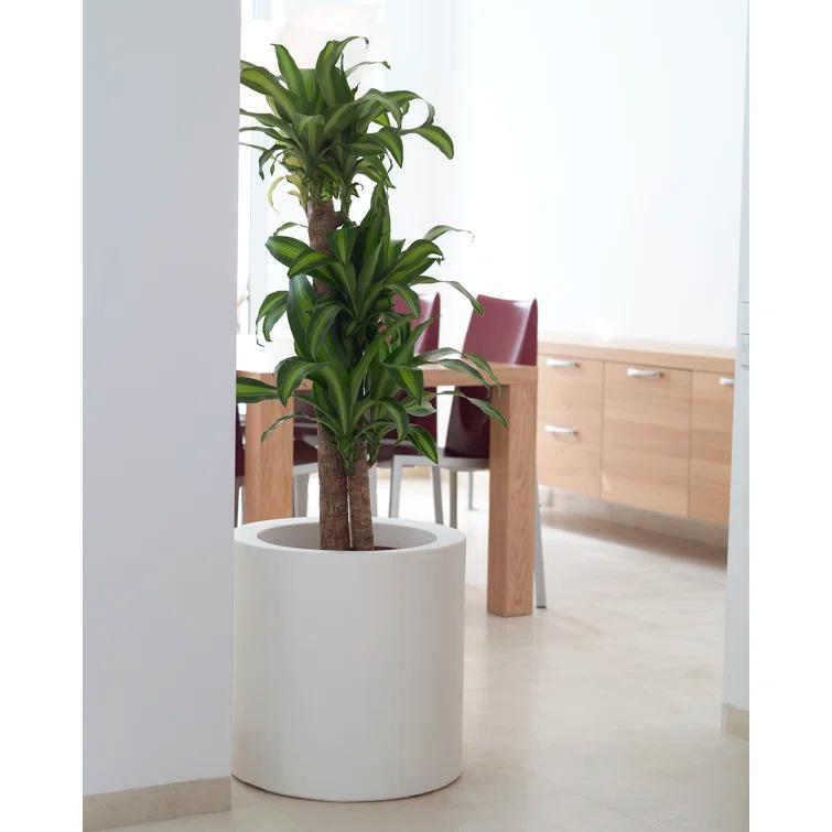 Ecru Cilindro Self-Watering Planter, 31.5" Polyethylene