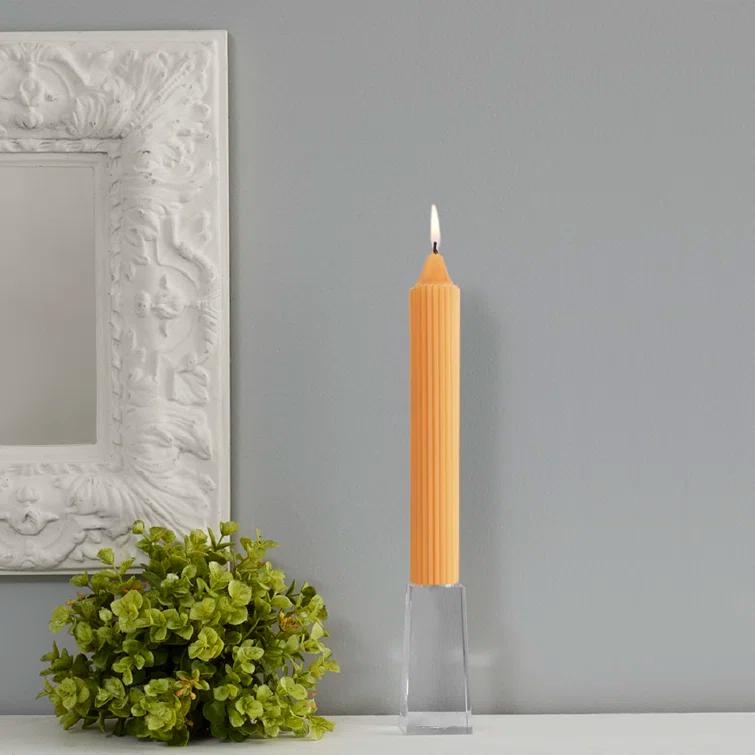 Root Candles Grecian Collenette Unscented Taper Candle & Reviews | AllModern