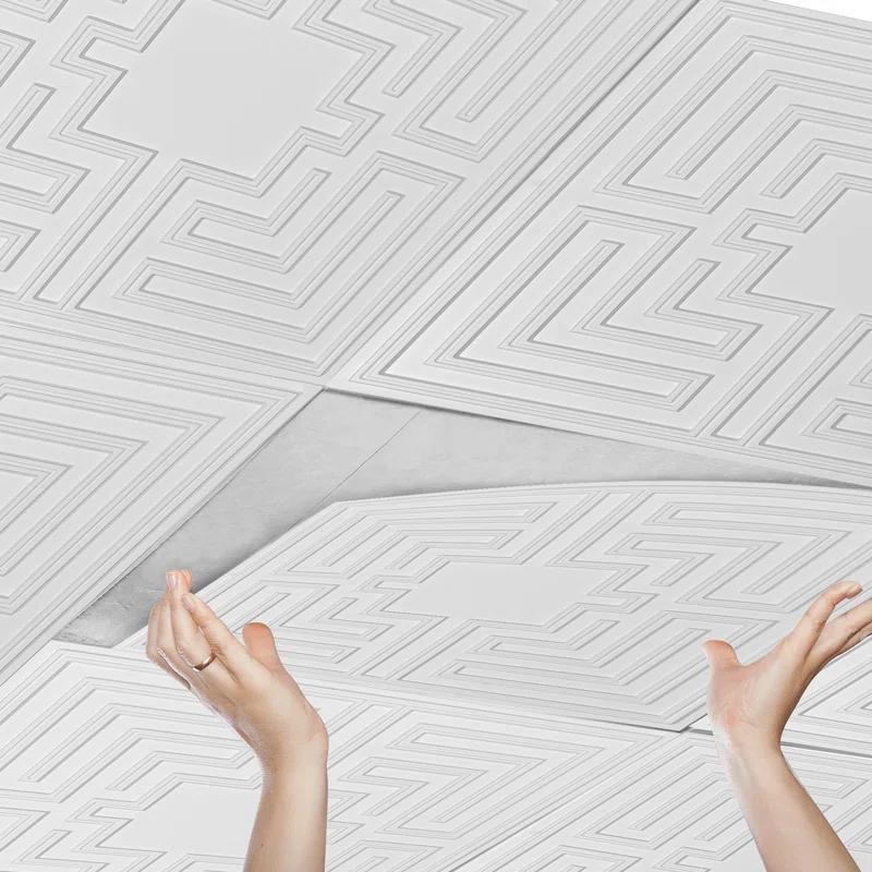 VEVOR Ceiling Tiles 12-Pack 24 x 24 in PVC Easy Installation White Echo Pattern (Set of 12)
