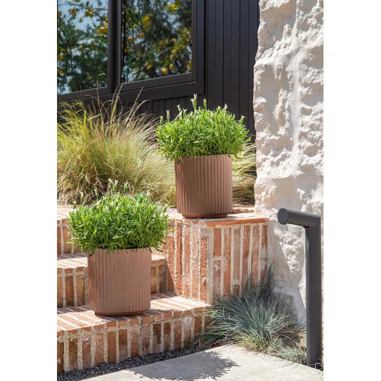 Veradek Demi Series Round Planter & Reviews | AllModern