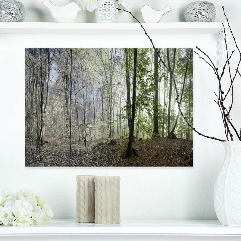 " Green Morning In Forest Panorama "