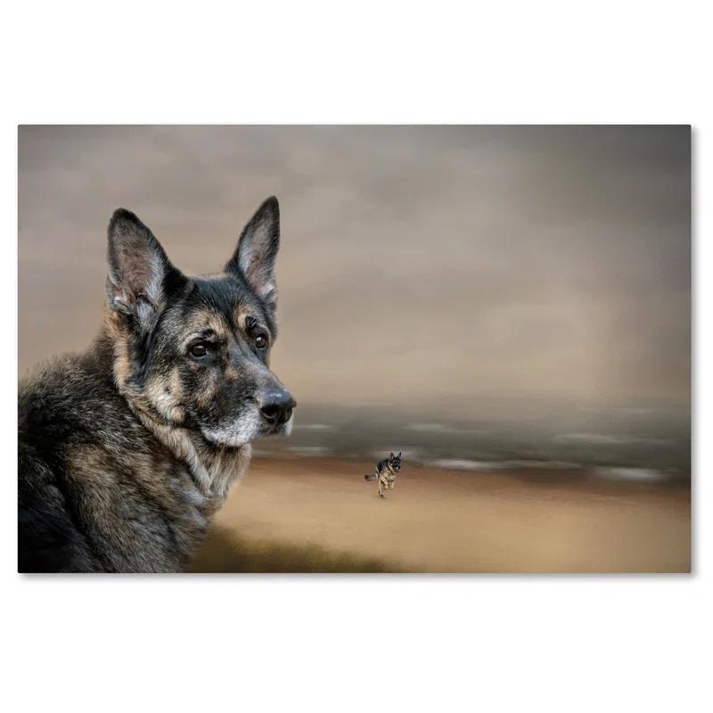 Trademark Fine Art Jai Johnson " German Shepherd Dreaming Of The Beach " by Jai Johnson
