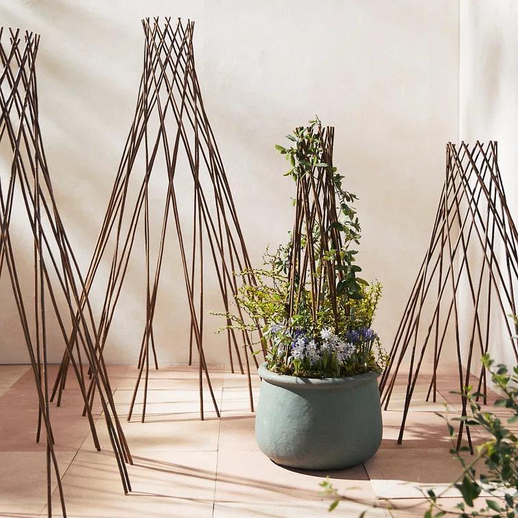 MGP 72'' H x 20'' W Wood Obelisk Trellis