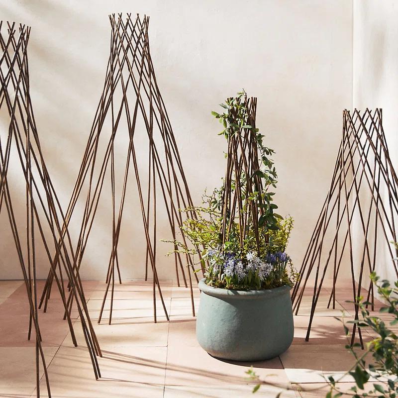 MGP 72'' H x 20'' W Wood Obelisk Trellis
