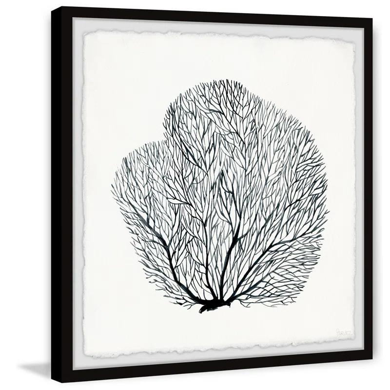 Parvez Taj " Sea Fern " by Parvez Taj