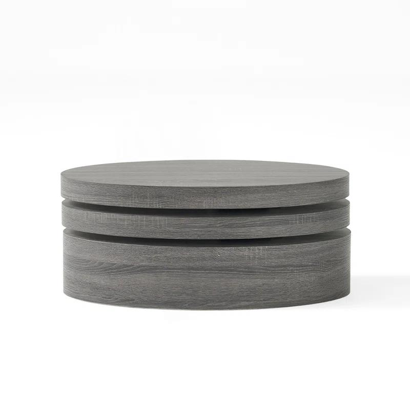 Ivy Bronx Modern Rotating Coffee Table