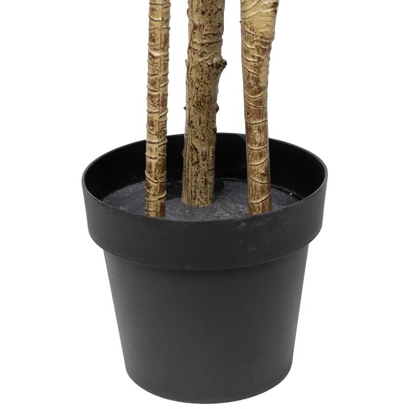 Northlight Seasonal 5.5' Green Artificial Potted Dracaena Marginata Plant