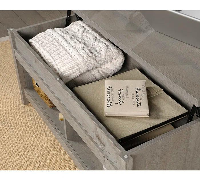 Sauder Modern Lift-top Coffee Table