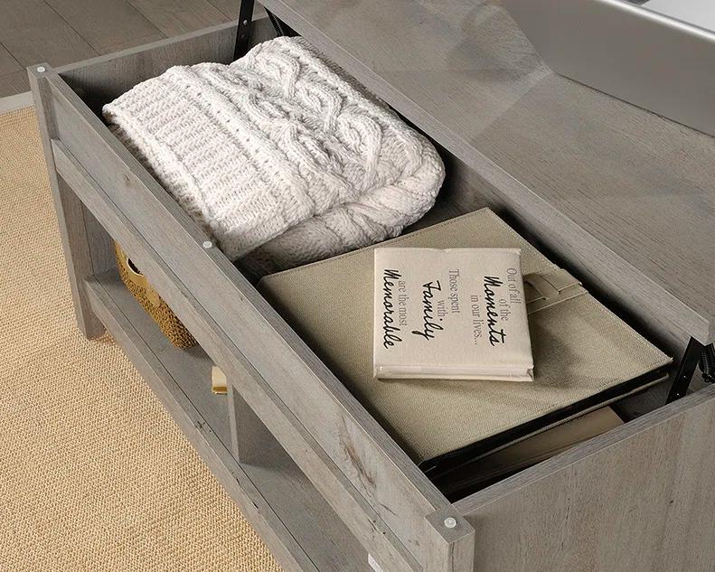 Sauder Modern Lift-top Coffee Table