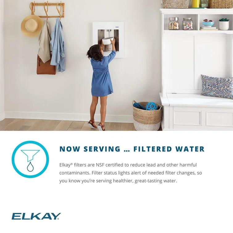 Elkay Elkay ezH2O Liv Built-in Filtered Refrigerated Water Dispenser Remote Chiller