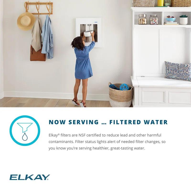 Elkay Elkay ezH2O Liv Built-in Filtered Refrigerated Water Dispenser Remote Chiller
