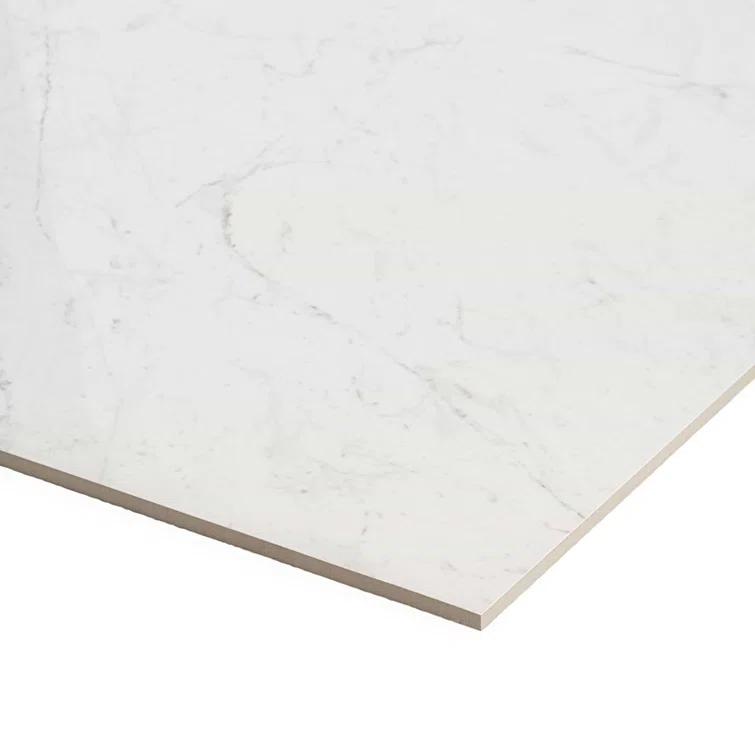 24" x 24" Polished Marble Look Porcelain Floor and Wall Tile (15.5 Sq. Ft. / Case)