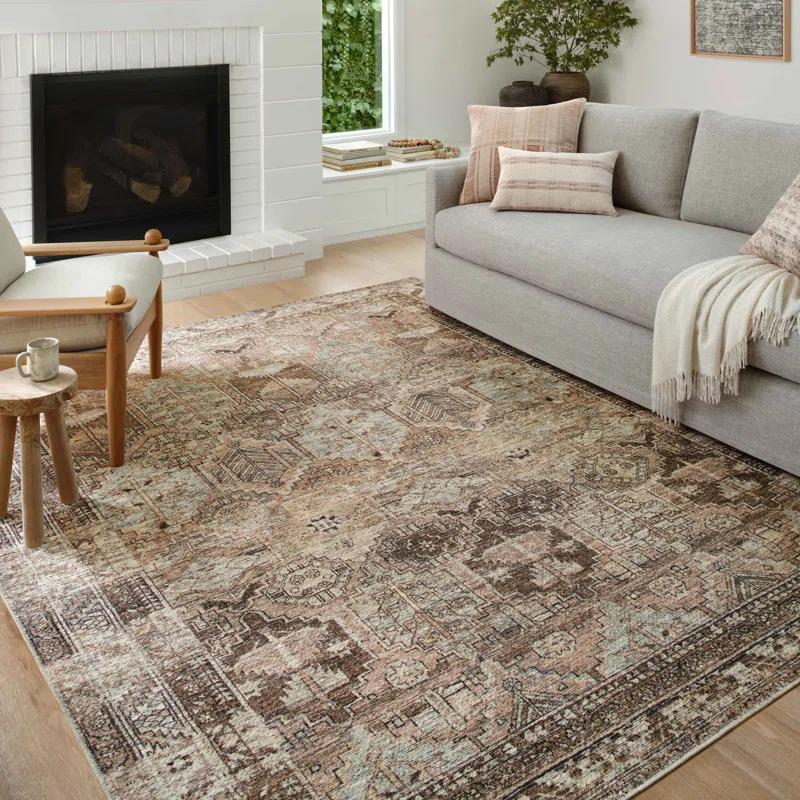 Billie Oriental Clay/Sage Area Rug