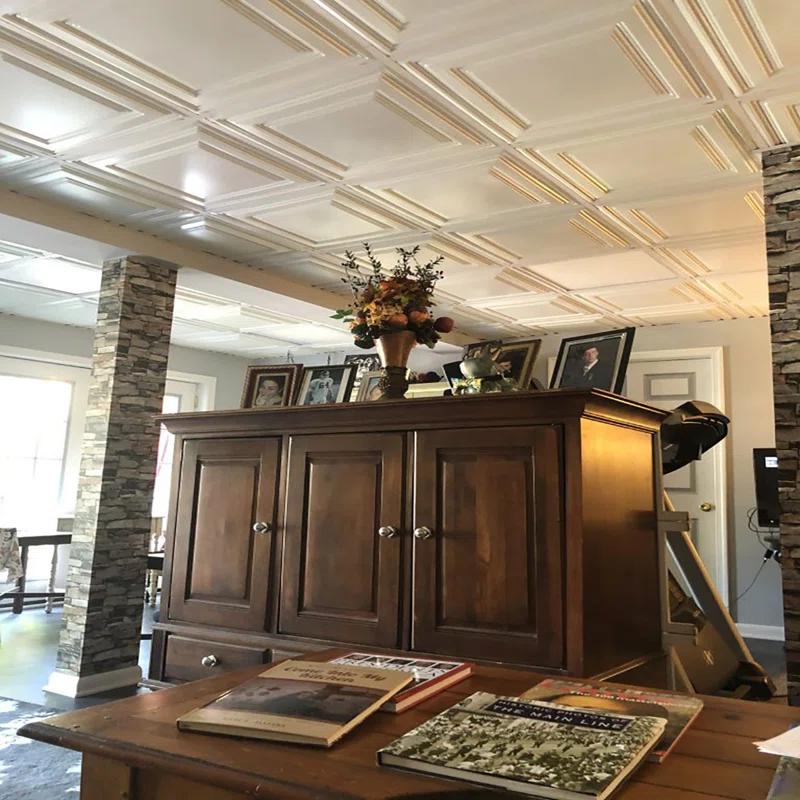 FromPlainToBeautifulInHours Economy Drop-In PVC Ceiling Tile (Set of 50)