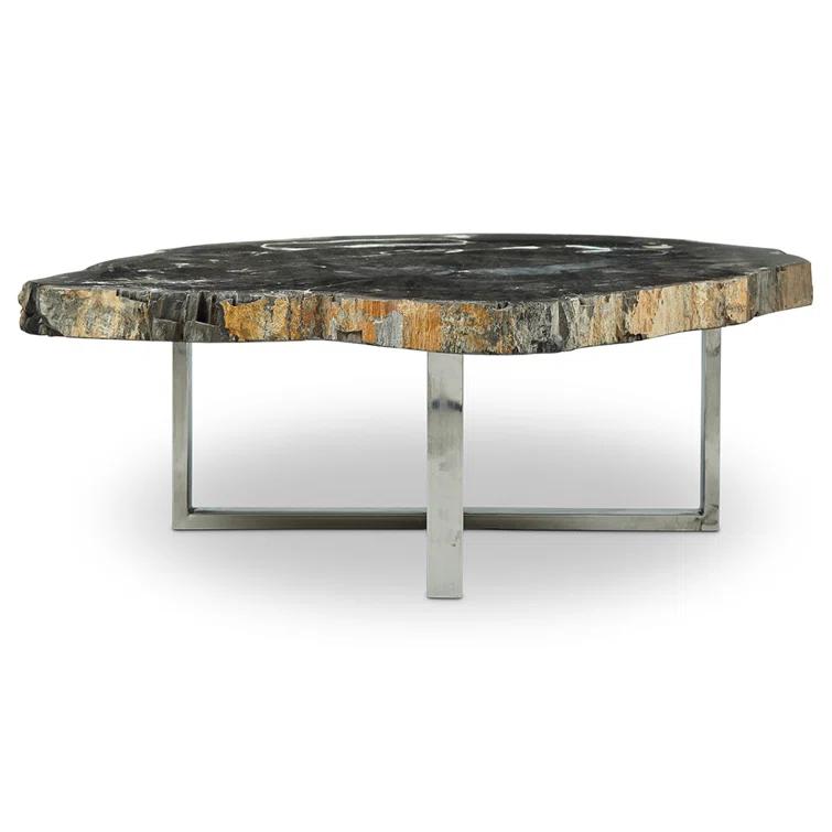 Urbia Relique Natural Dark Petrified Wood & Polished Stainless Steel Coffee Table