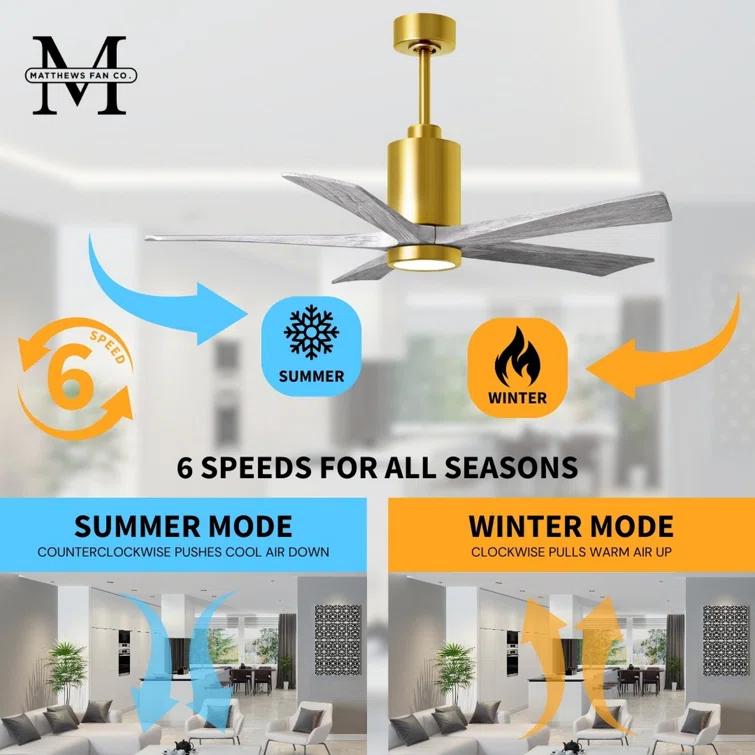 Matthews Fan Company Patricia 52'' Ceiling Fan with LED Lights