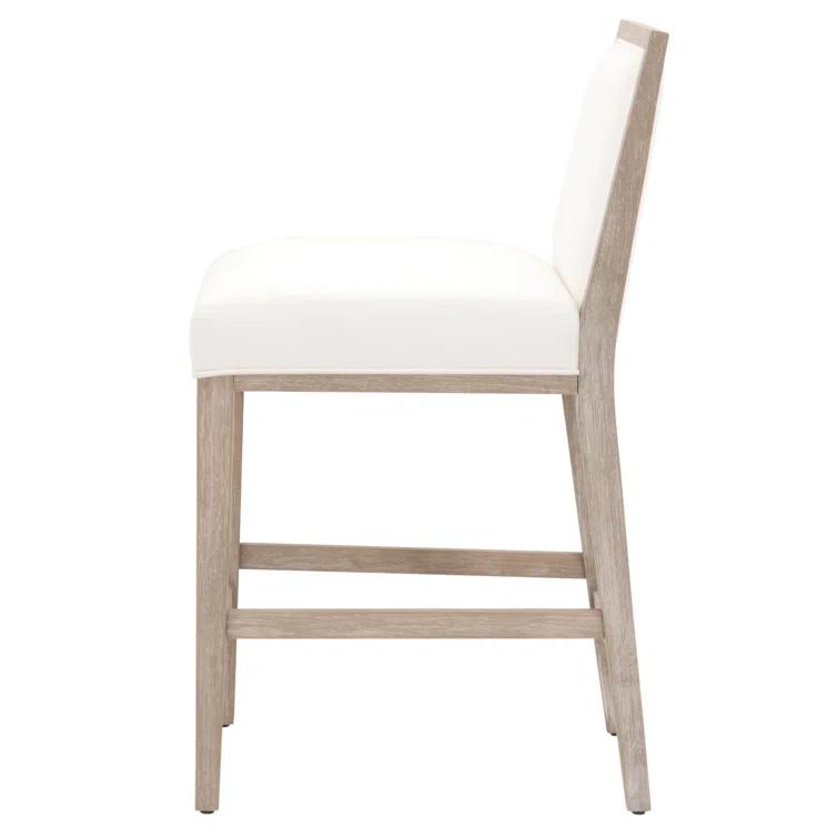 Klaude Counter Stool (Set of 2)