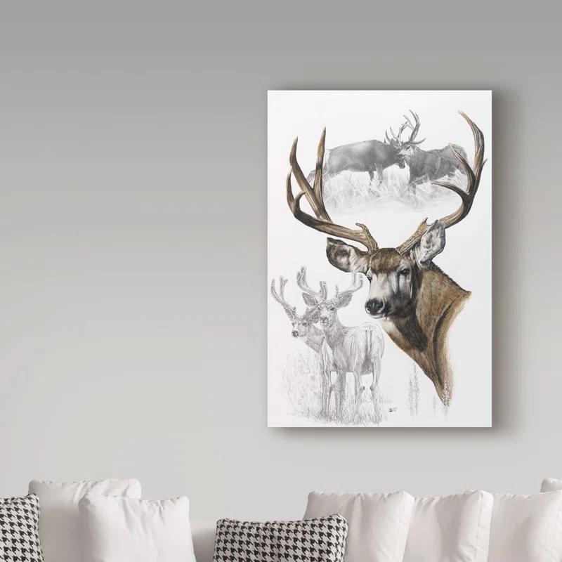 Trademark Fine Art Barbara Keith " Mule Deer " by Barbara Keith