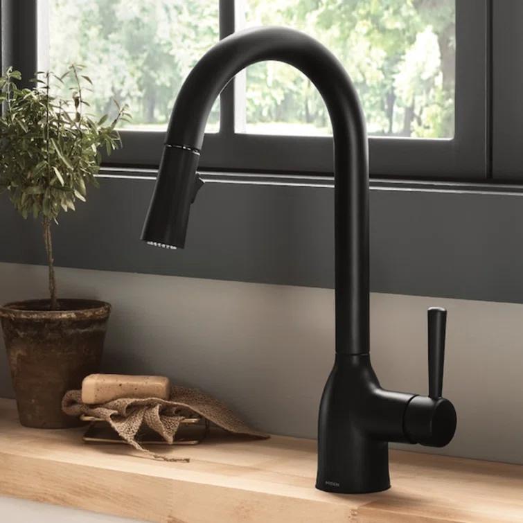 Moen Adler Pull Down Single Handle Kitchen Faucet with Accessories 87233BL