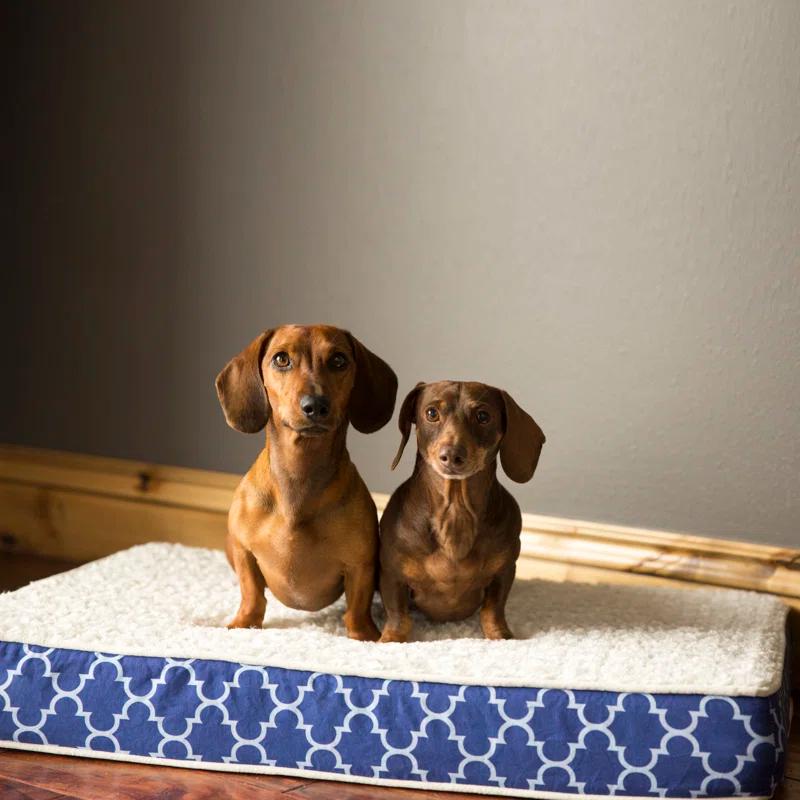 Tucker Murphy Pet™ Cottrell Waterproof Designer Pillow