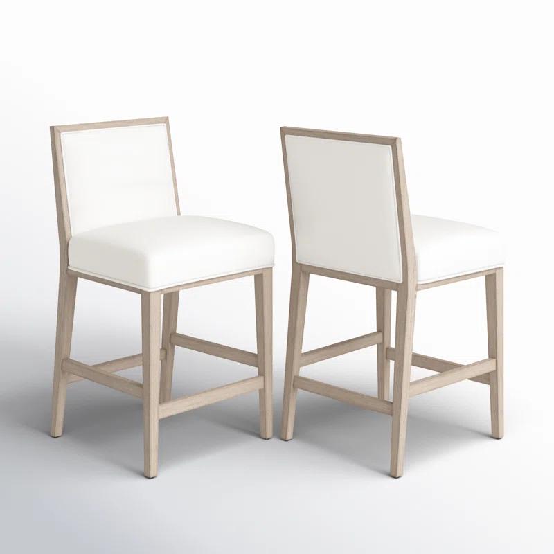 Klaude Counter Stool (Set of 2)