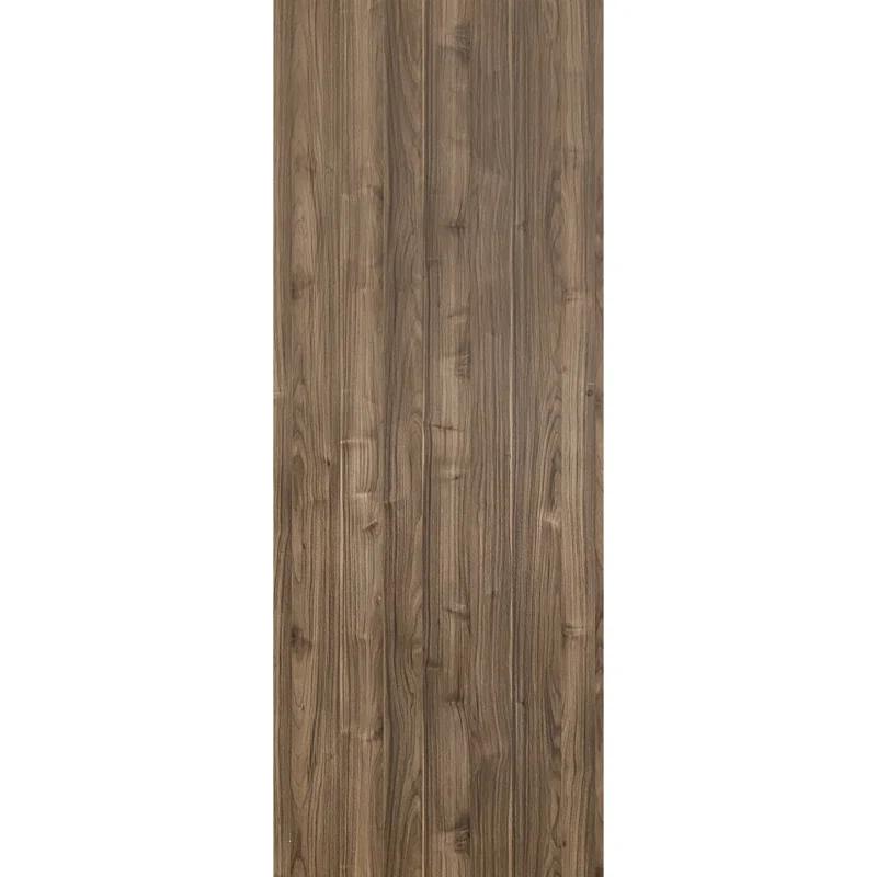 SARTODOORS Planum Solid + Manufactured Wood Paneled Slab Door