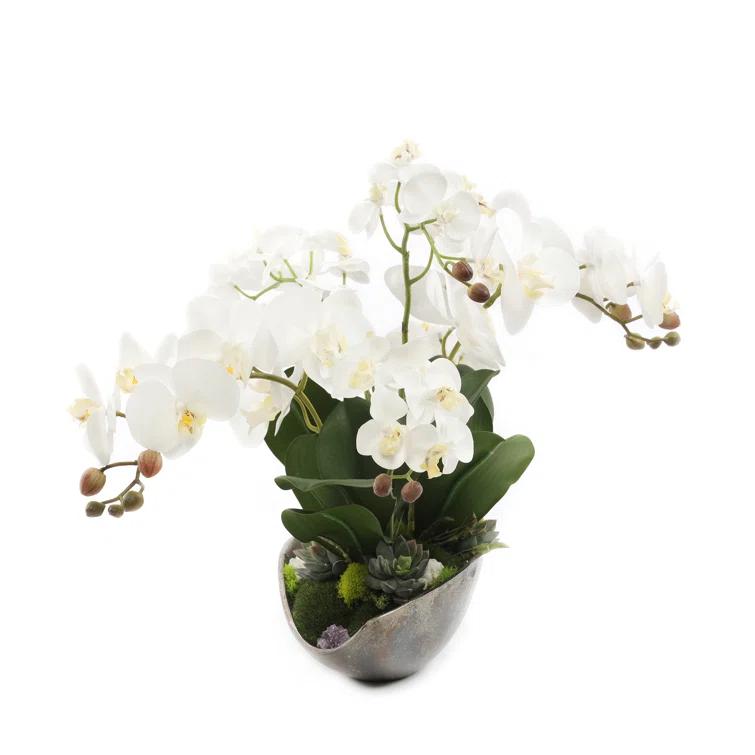 Cream White Silk Orchid Floral Arrangement in Metal Tray