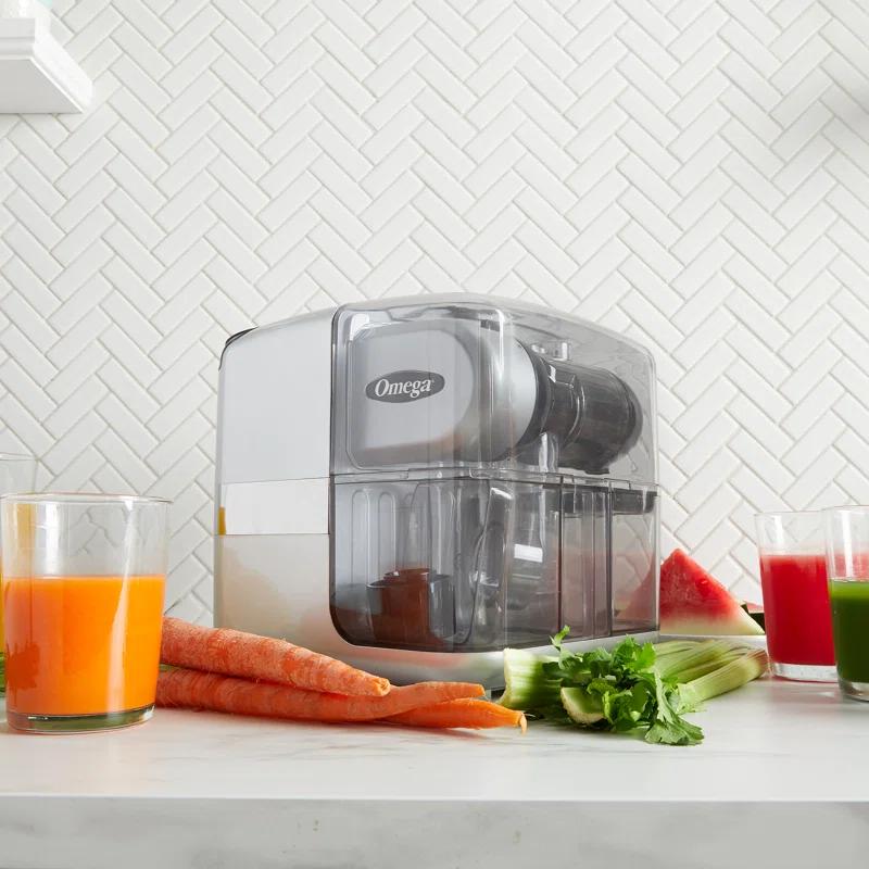 Omega Omega Cold Press 365 Masticating Slow Juicer with On-Board Storage