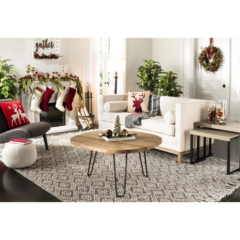Safavieh Blitz Appliqued Reversible Throw Pillow